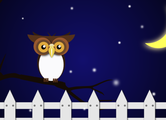 night-owl-vector-clipart